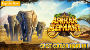 Maxwin 15.000x di African Elephant™, Begini Caranya!